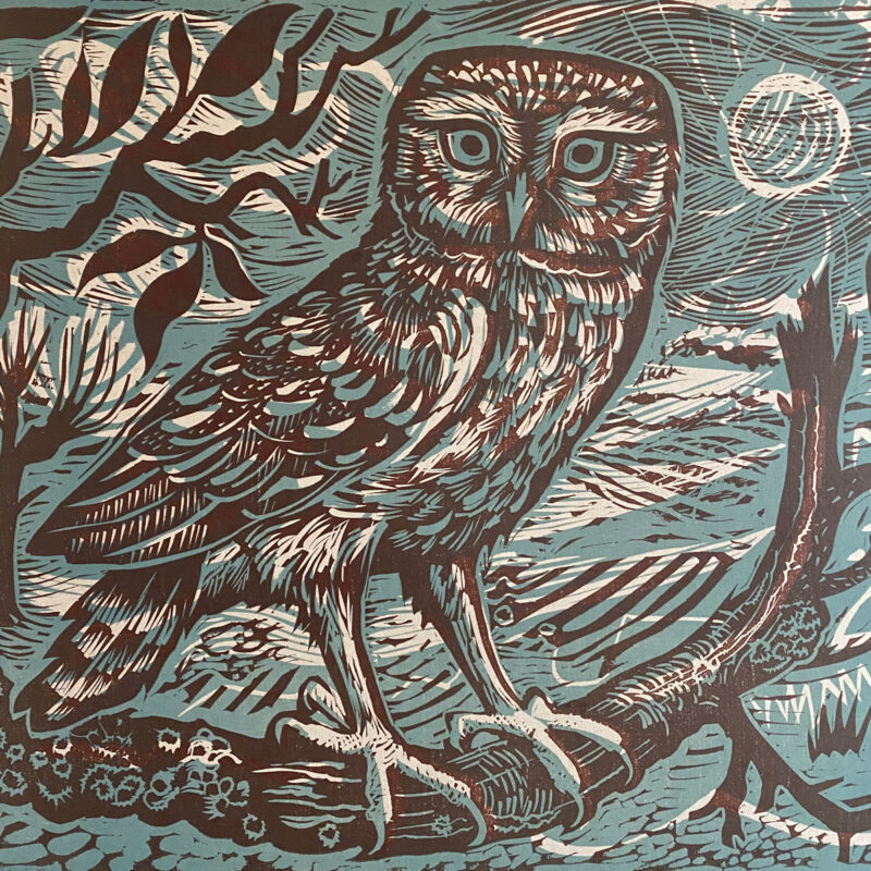 Little Owl, Unframed Print by Mark Hearld