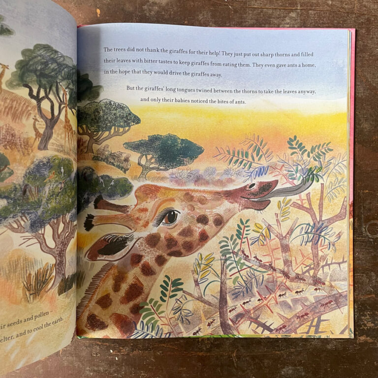 The Season of Giraffes by Nicola Davies & Emily Sutton - Tinsmiths