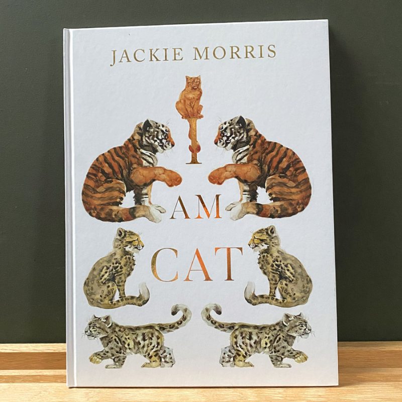 I Am Cat Jackie Morris Book Tinsmiths Ledbury